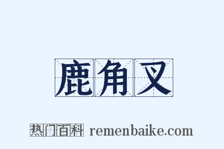 鹿角叉是什么意思的图片